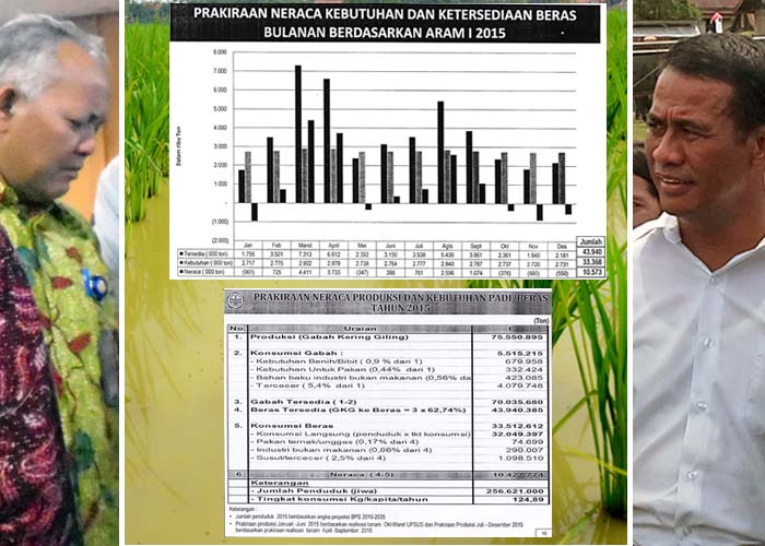 33,368 Juta Ton Beras Konsumsi Rakyat di 2015